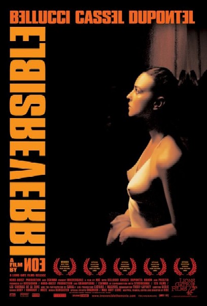 irreversible 3.jpg
